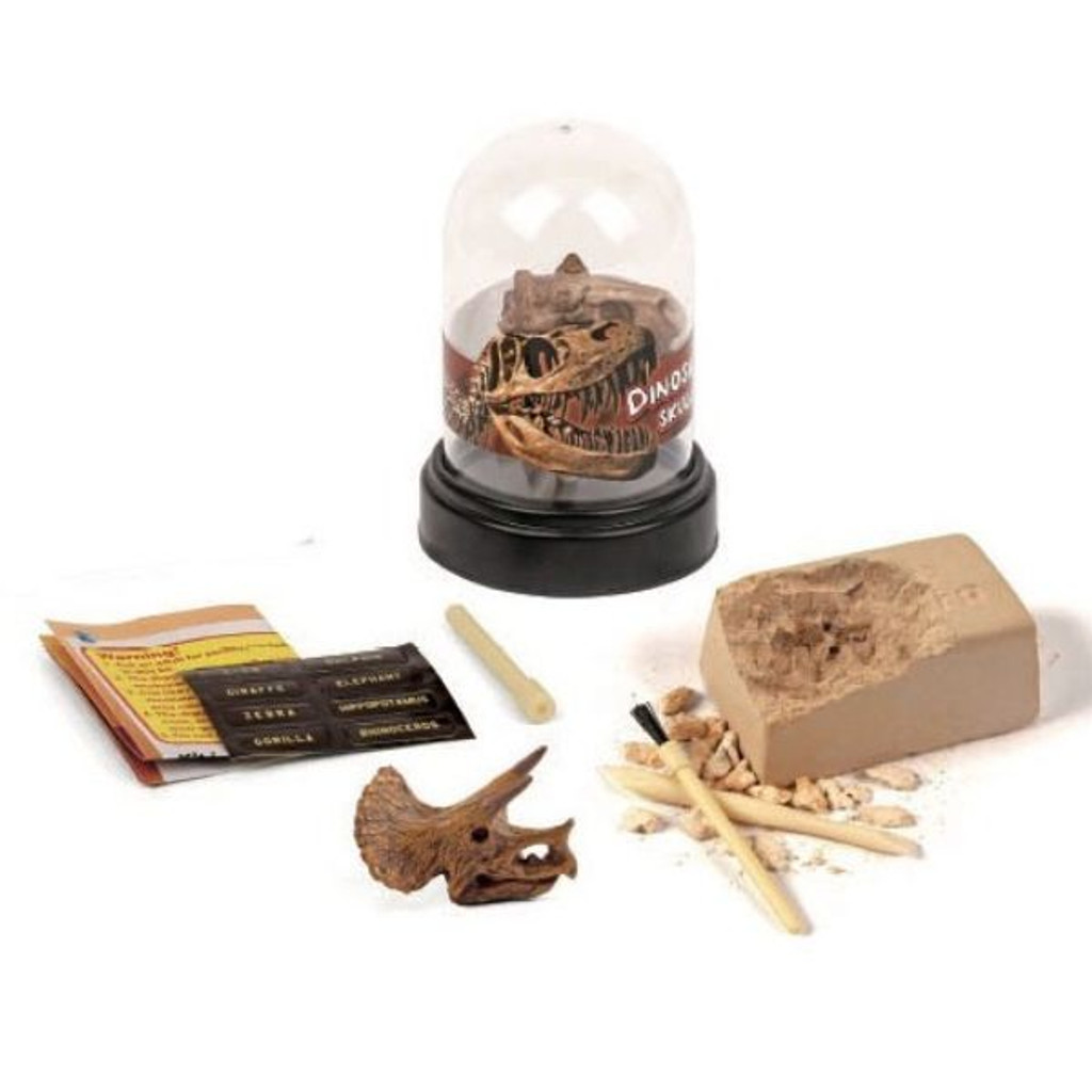 Dig And Display Dinosaur Skull kit