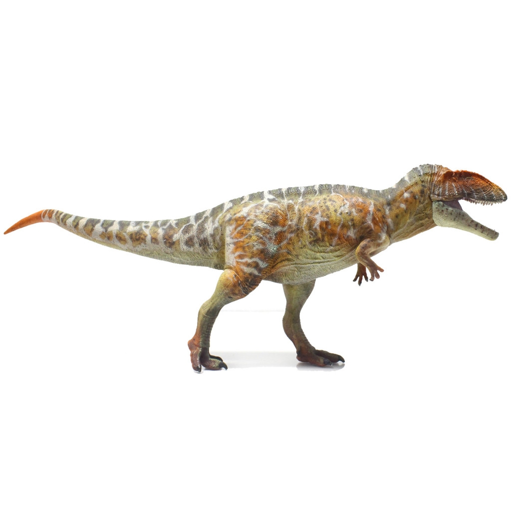 Haolonggood Carcharodontosaurus Flame Lie Yan open mouth