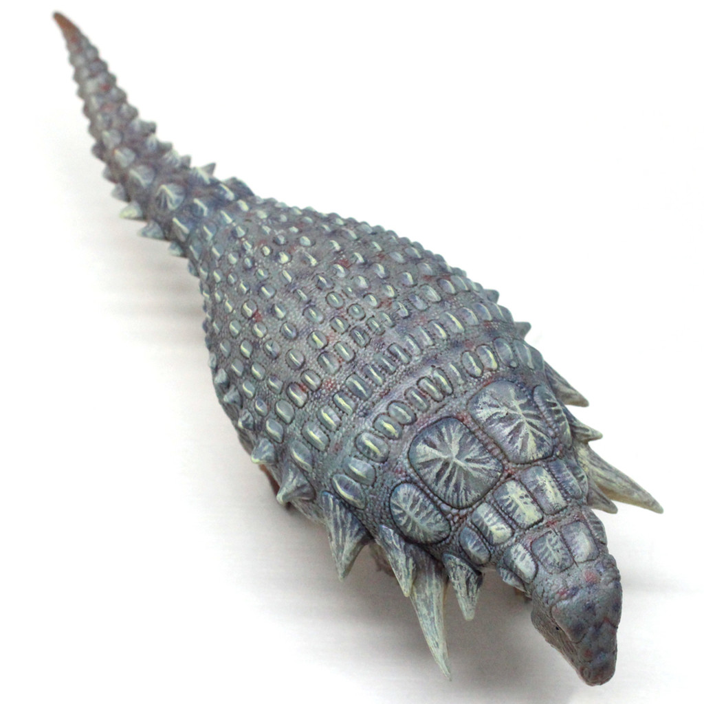 Haolonggood Edmontonia Blue Jie Zhen top