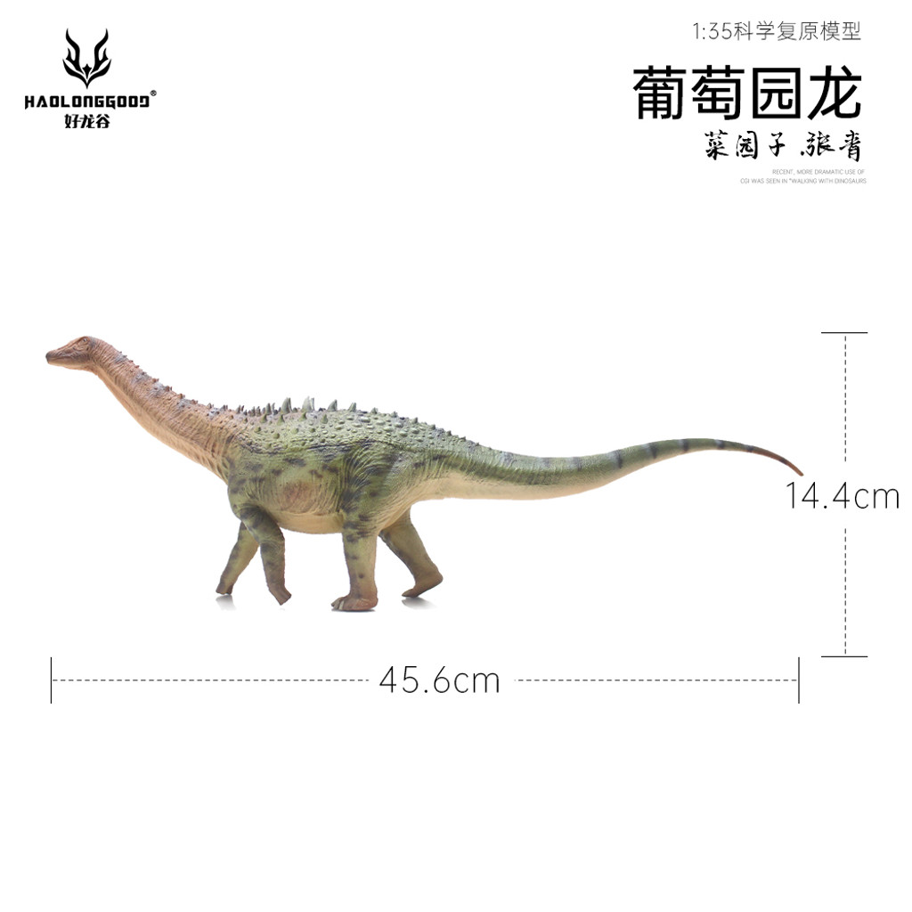 Haolonggood Ampelosaurus Zhang Qing sizing