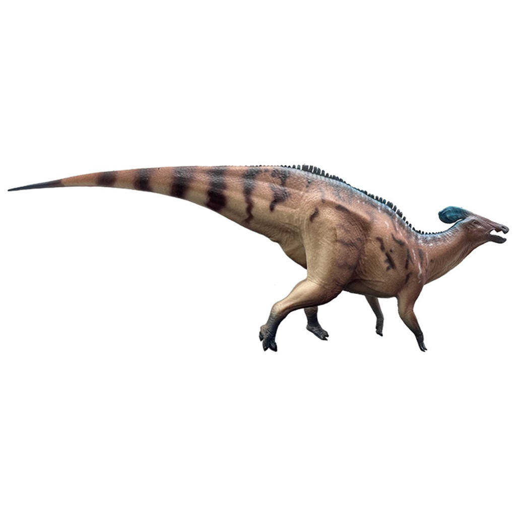 Haolonggood Tlatolophus Galorum Red Huang Fu Duan