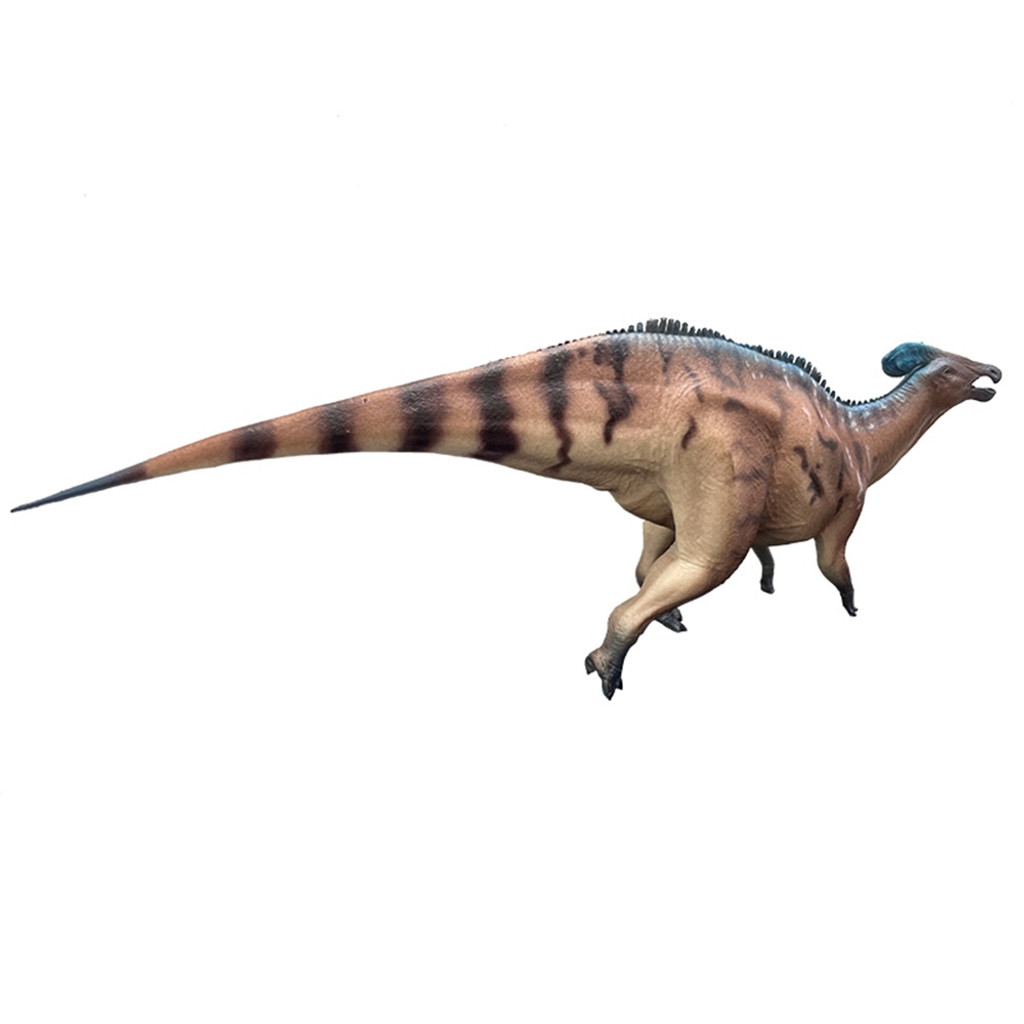 Haolonggood Tlatolophus Galorum Red Huang Fu Duan