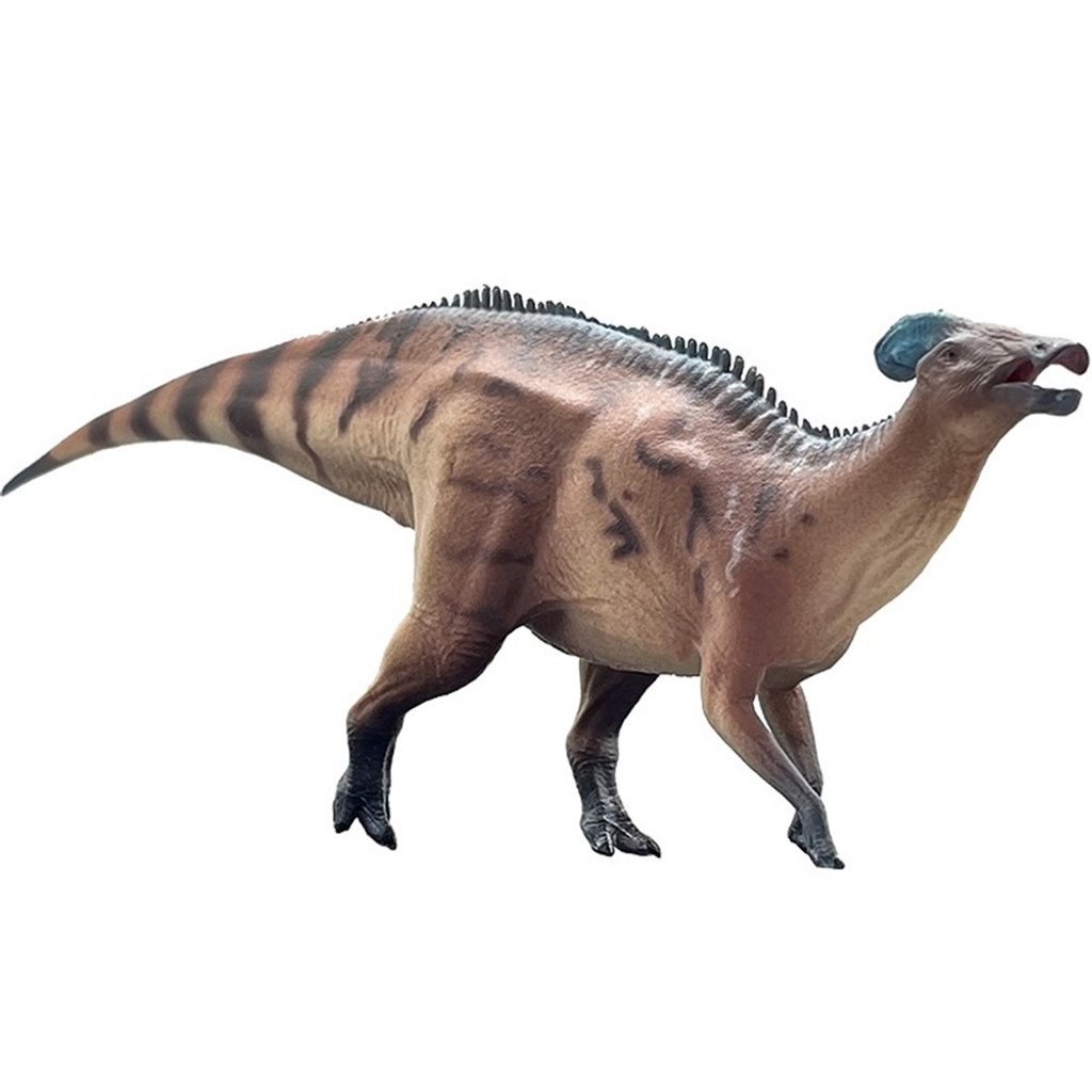 Haolonggood Tlatolophus Galorum Red Huang Fu Duan