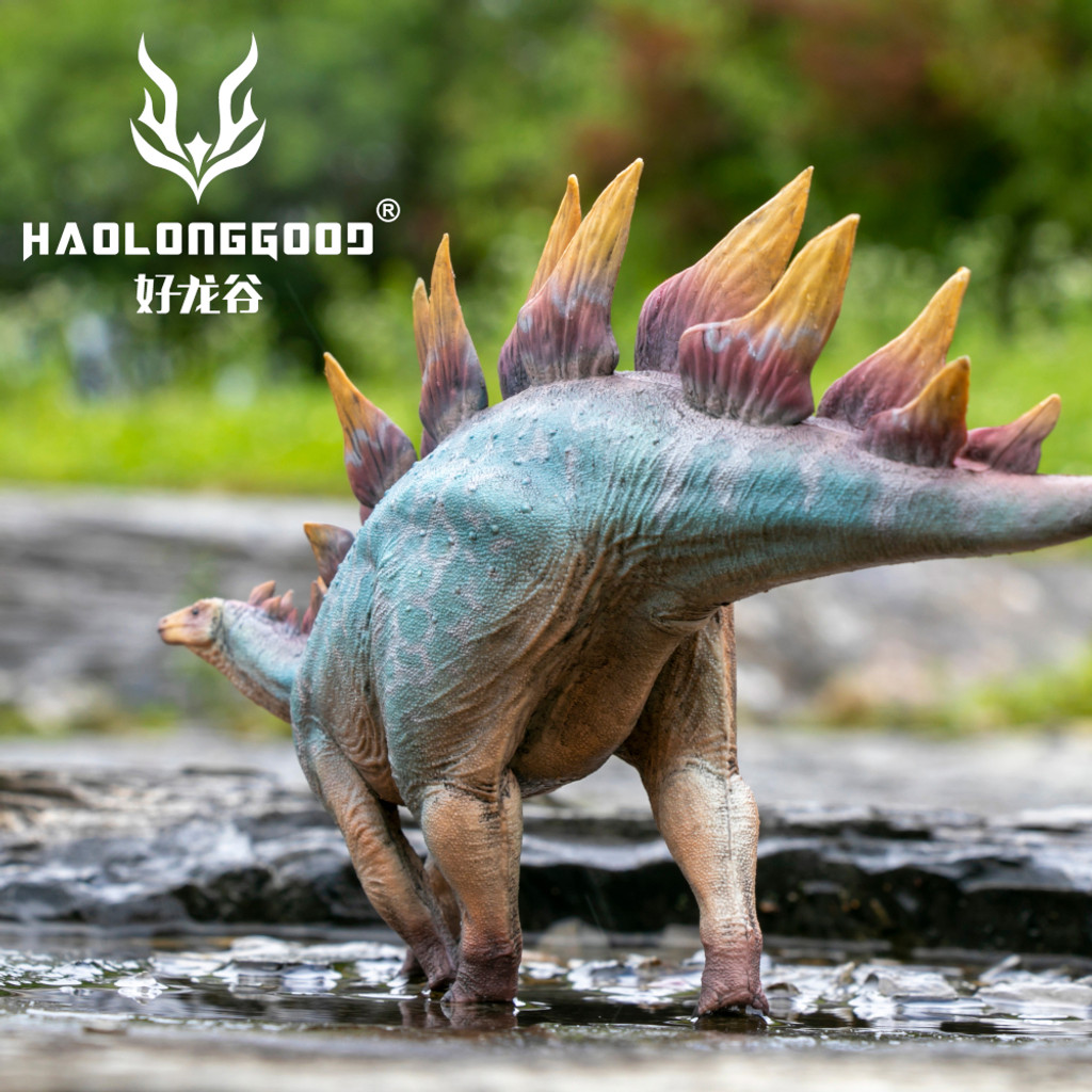 Haolonggood Stegosaurus Hao Si Wen lifestyle tail