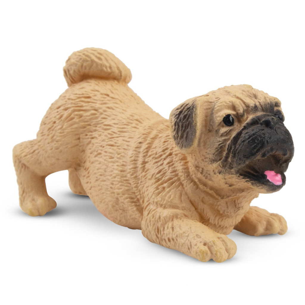 Toymany Pug Puppy Playing