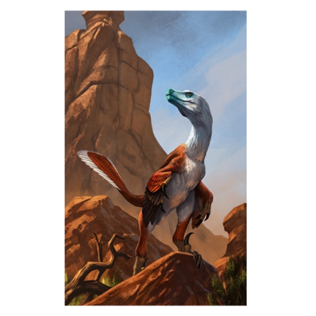 Velociraptor Osmolskae Alpha Exclusive