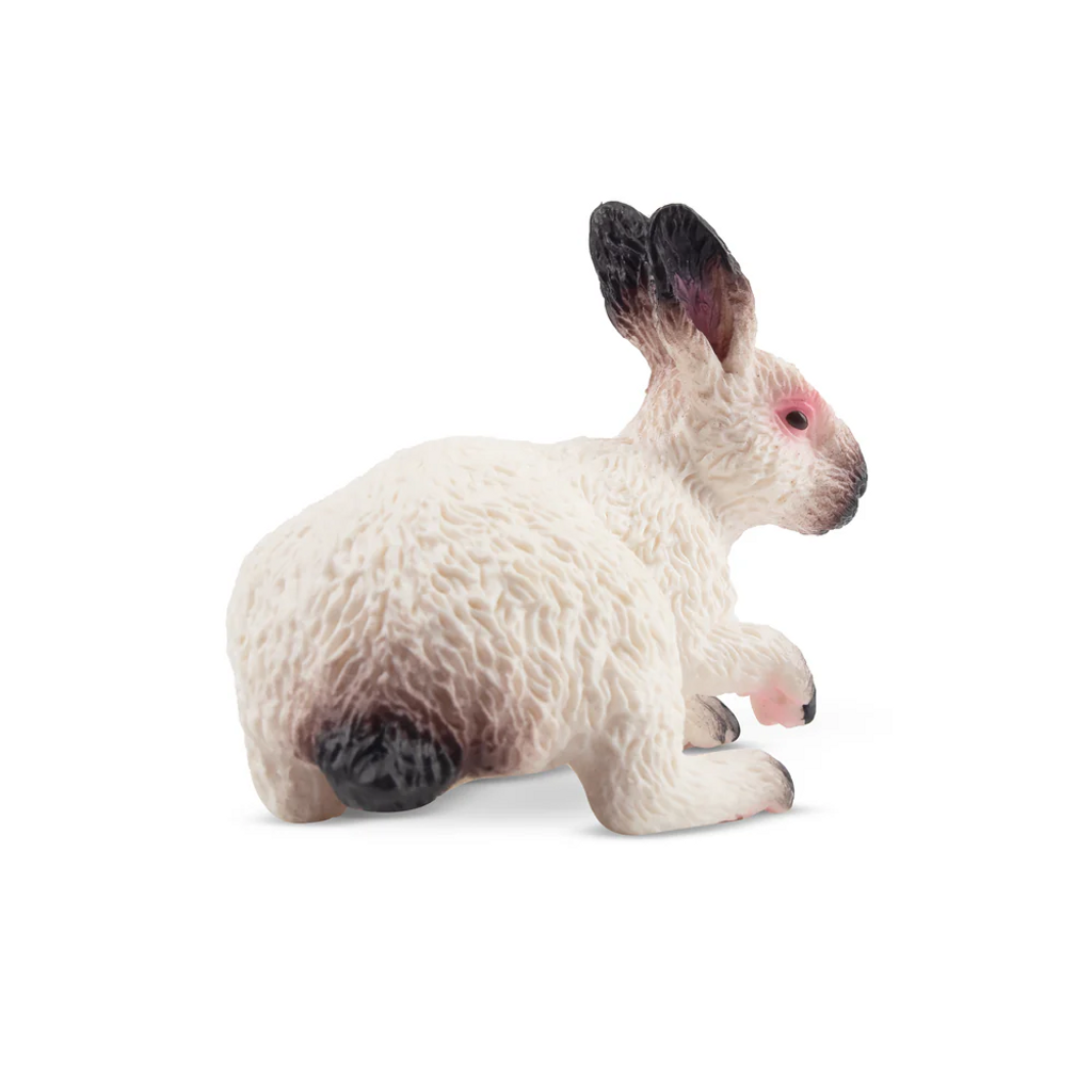 Toymany Californian Rabbit