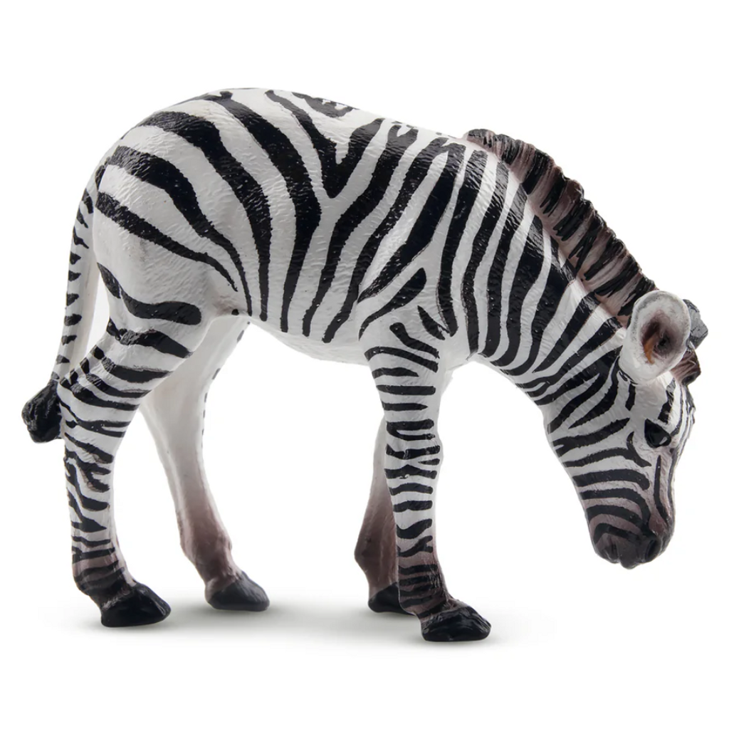 Toymany Zebra Foal