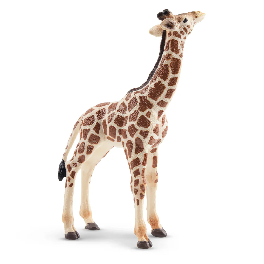 Toymany Giraffe Calf realistic toy figurine