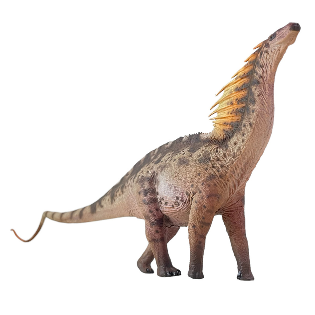 Haolonggood Amargasaurus Brown variant