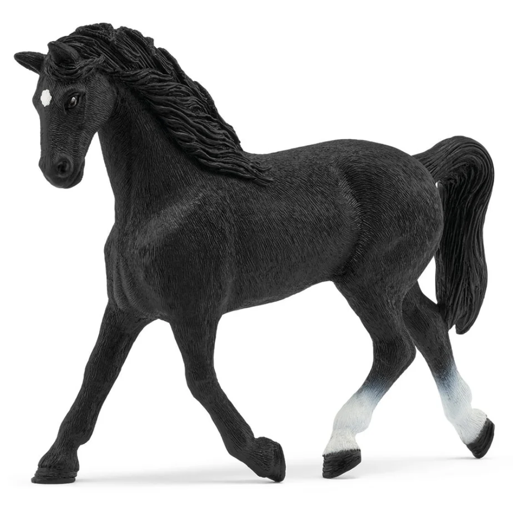 Schleich Holstein Mare Limited Edition