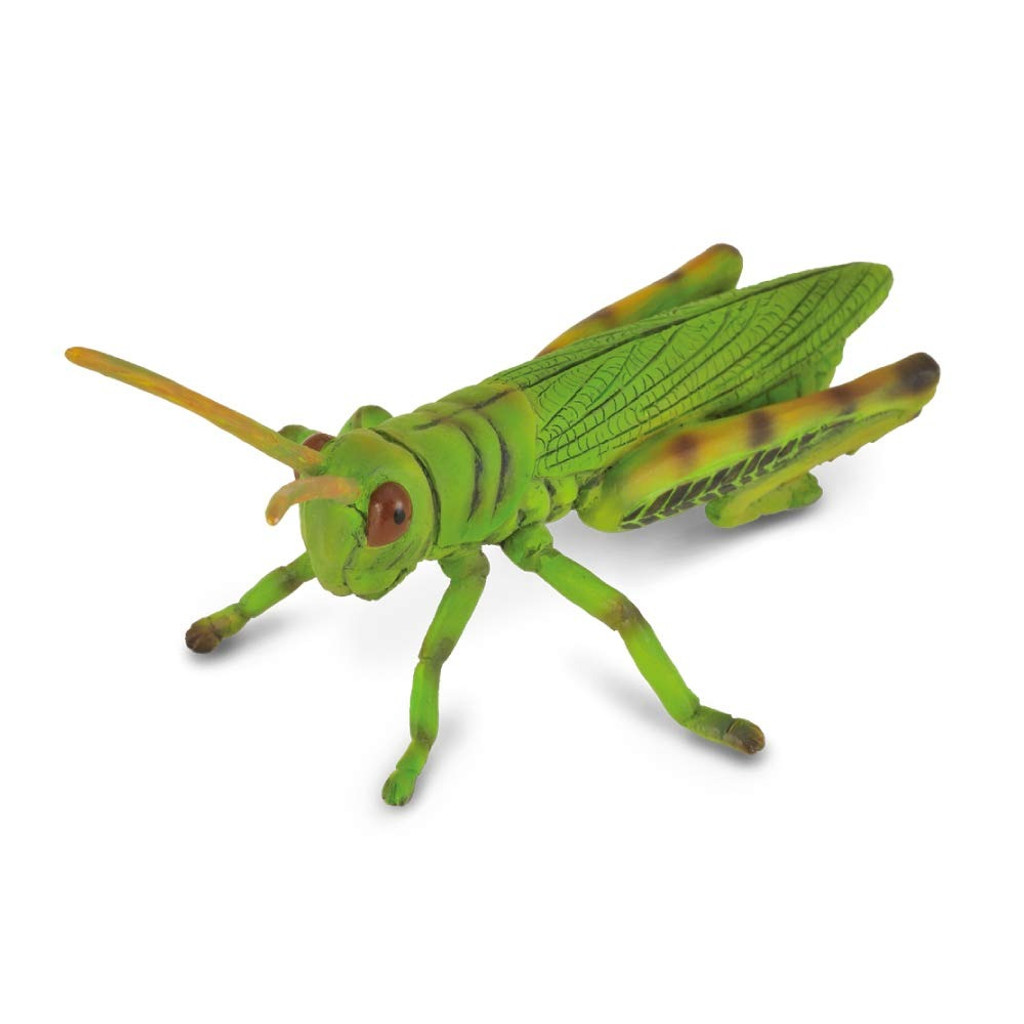 CollectA Grasshopper MiniZoo