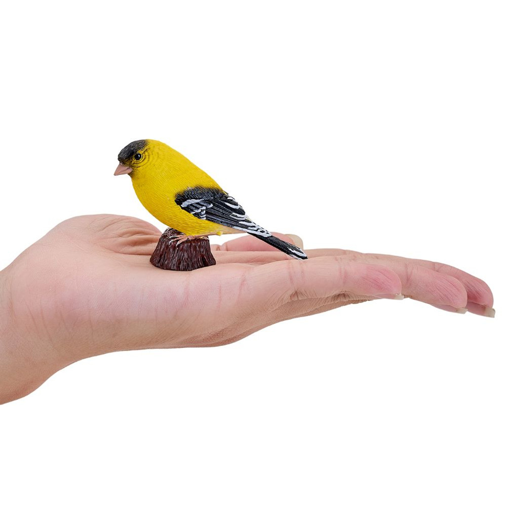 Mojo American Goldfinch size in hand