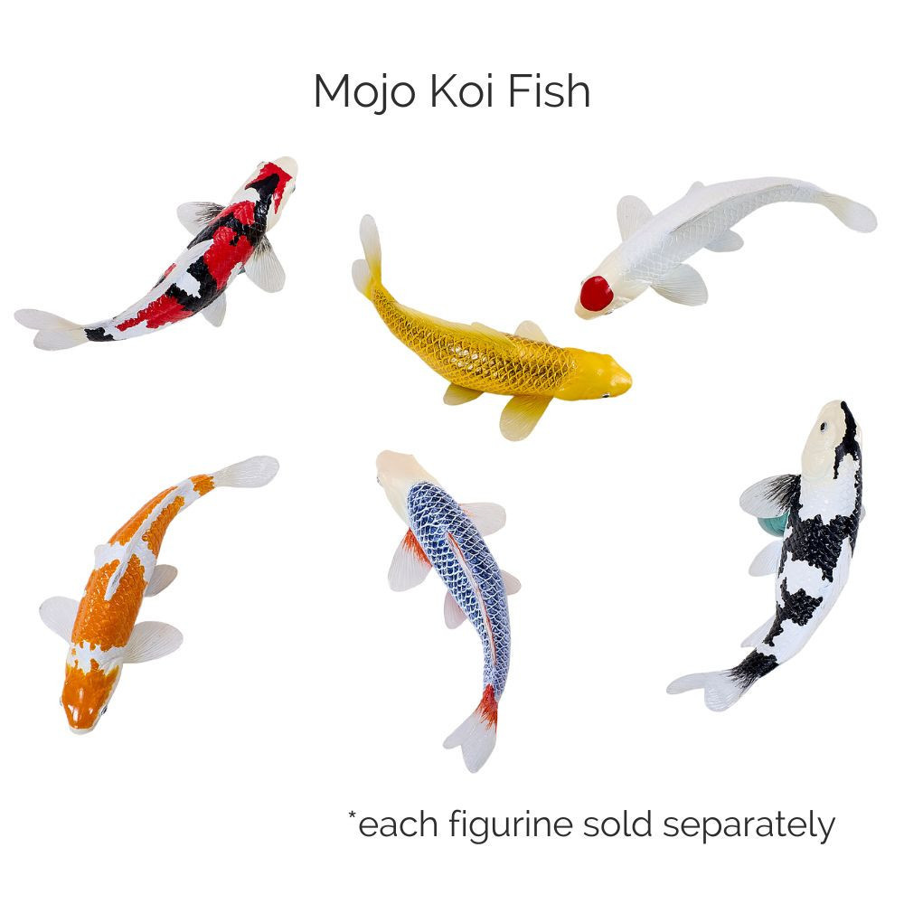 Mojo Koi Fish group photo