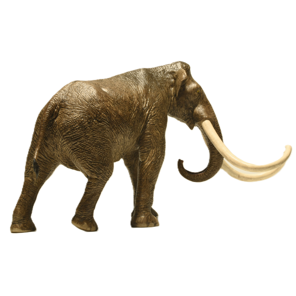 Eofauna Columbian Mammoth figurine
