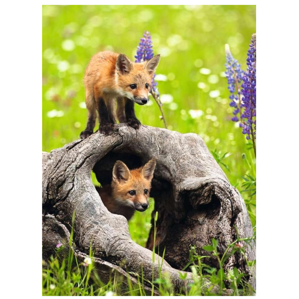 Ravensburger Cheeky Foxes Puzzle 300pc