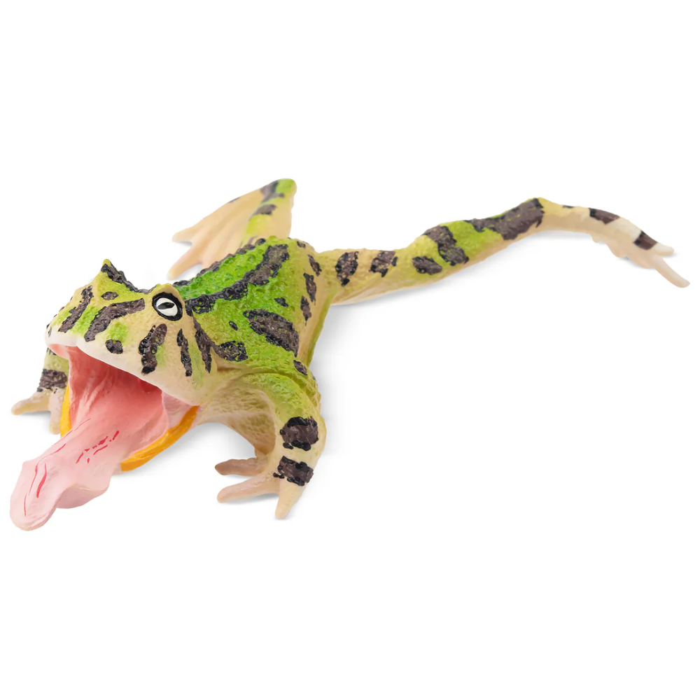 Toymany Surinam Horned Frog