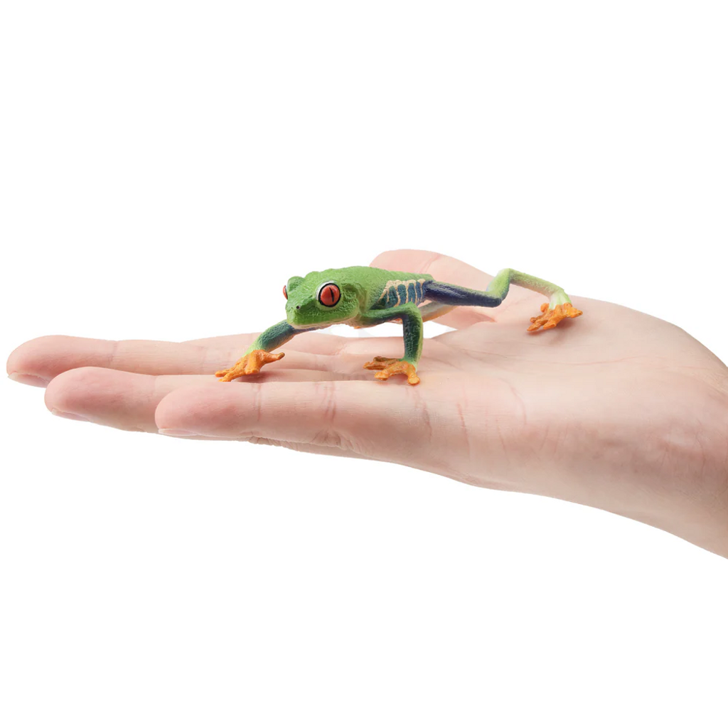 Toymany Red-Eyed Tree Frog