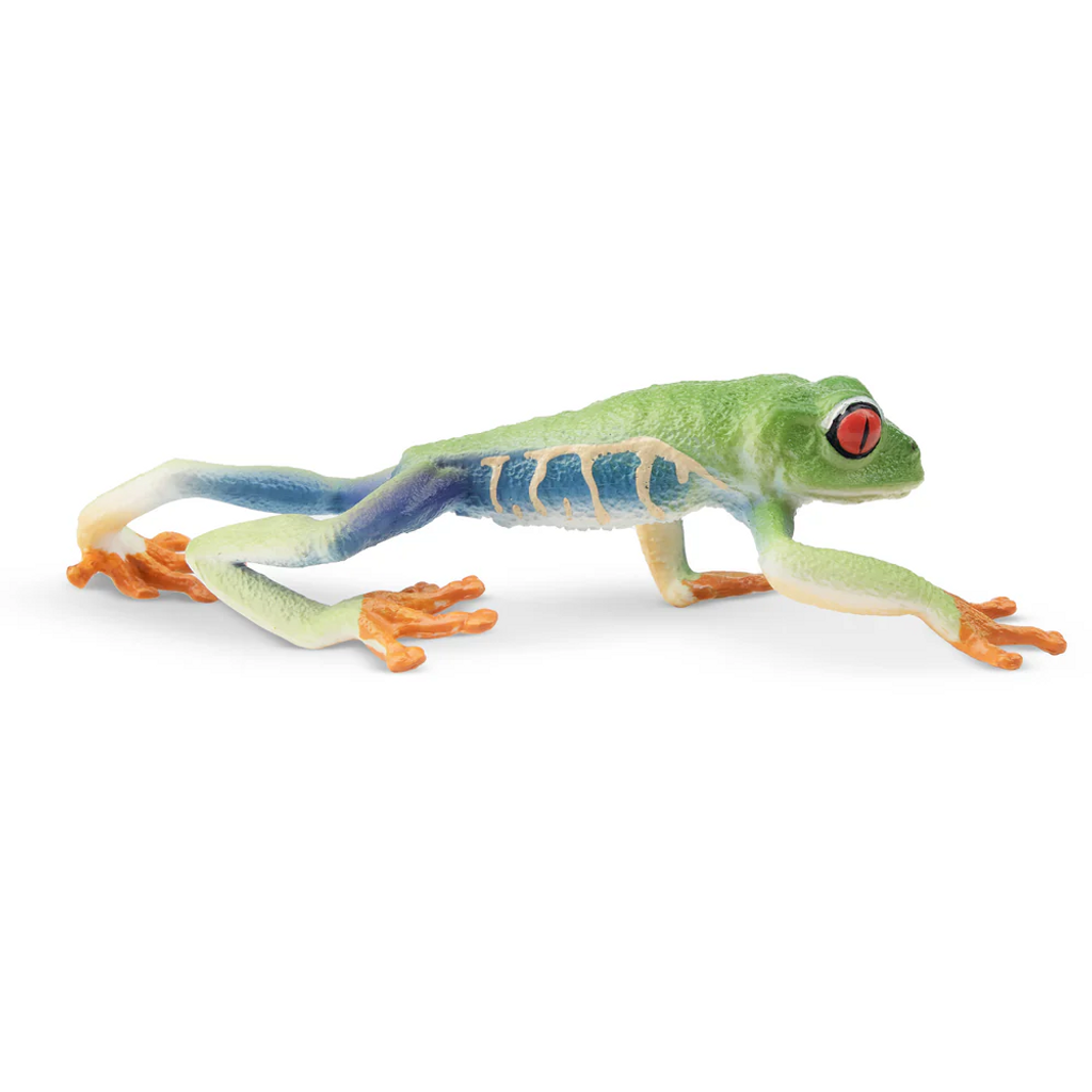 Toymany Red-Eyed Tree Frog