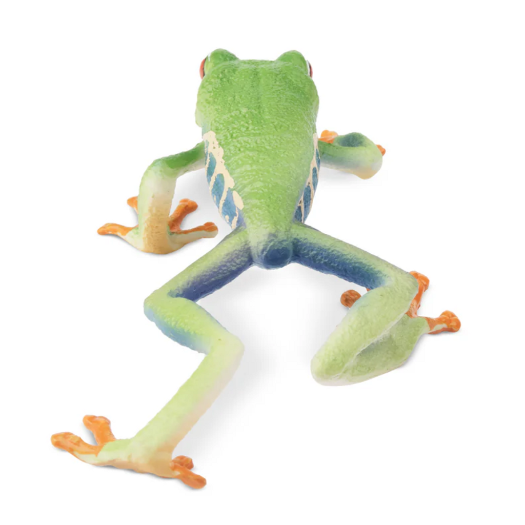 Toymany Red-Eyed Tree Frog