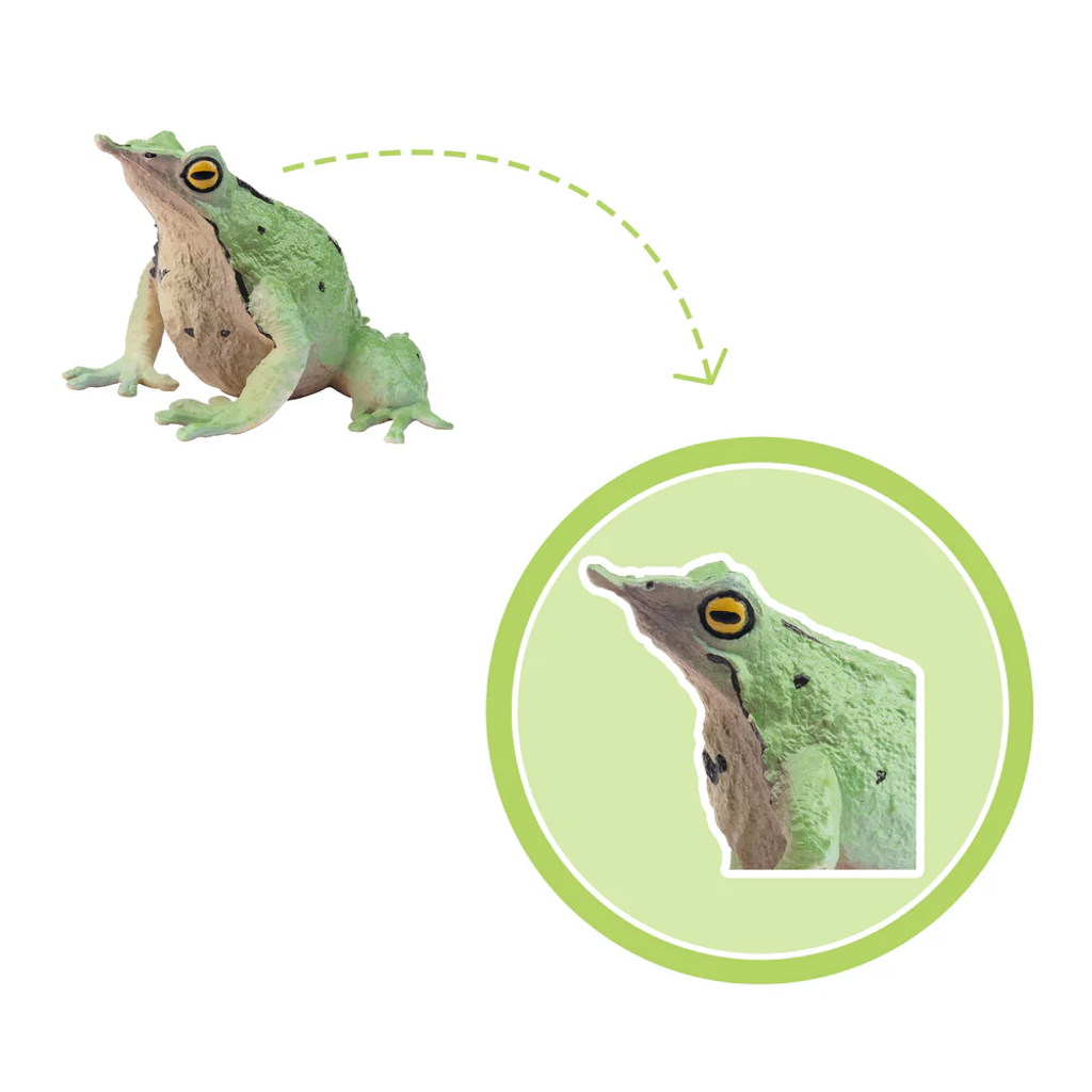 Toymany Darwin's Frog