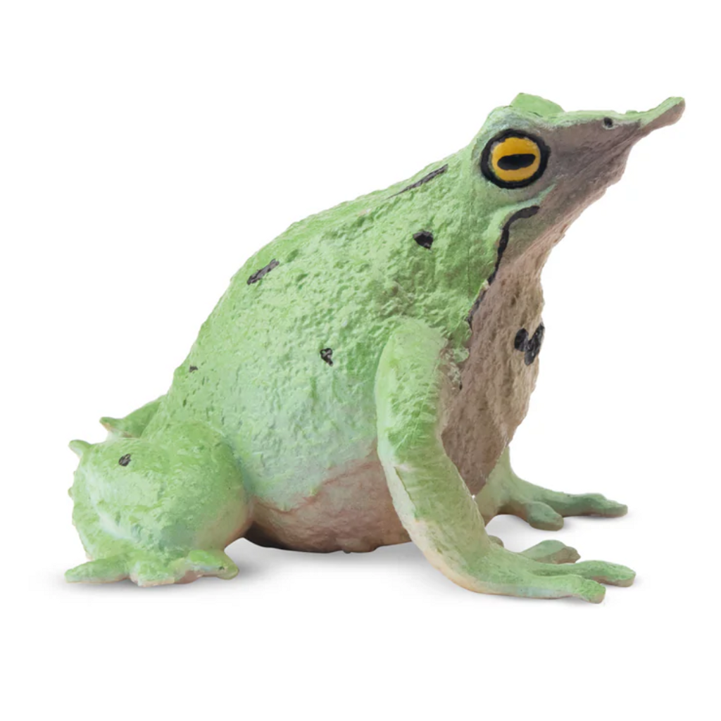 Toymany Darwin's Frog