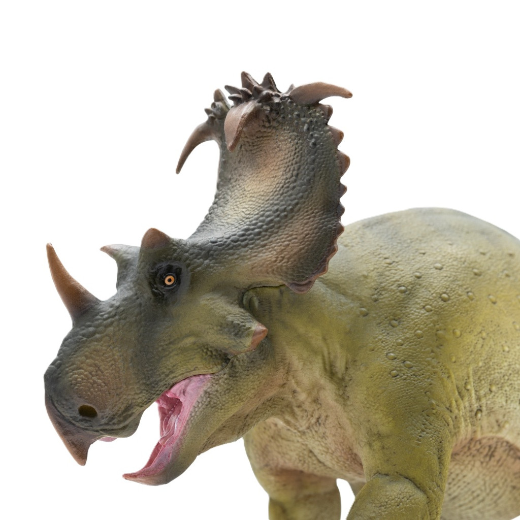 PNSO Russo the Coronosaurus side view face