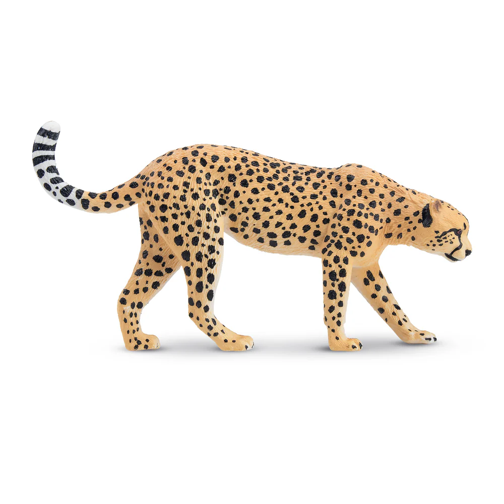 Toymany Cheetah Male Stalking