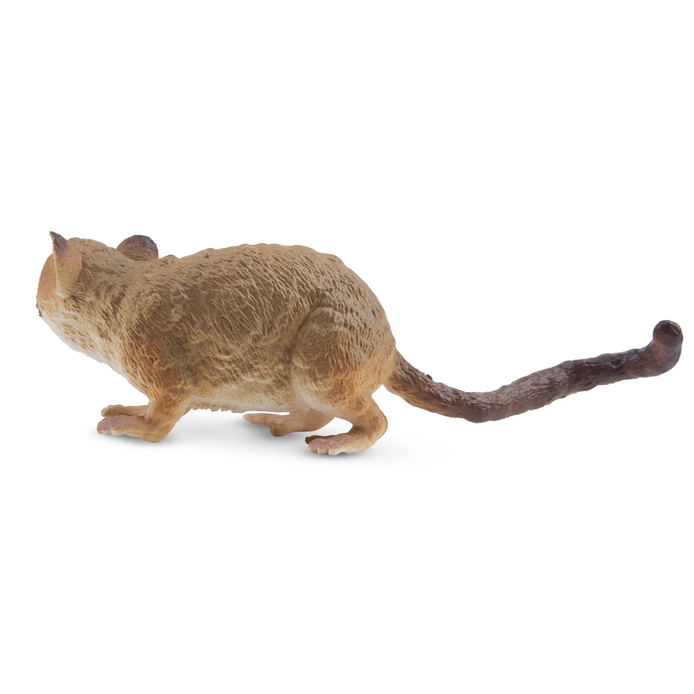 Toymany Madame Berthe's Mouse Lemur