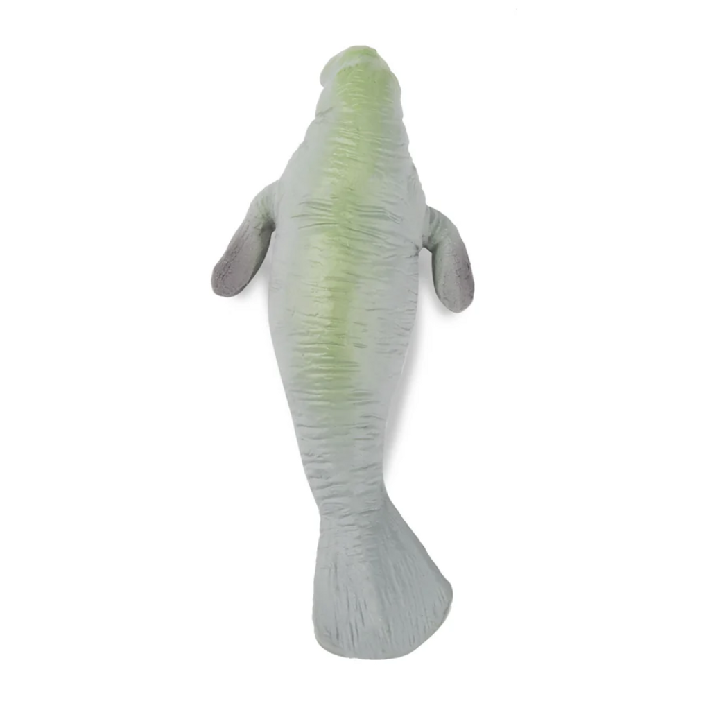 Toymany Manatee Small top view