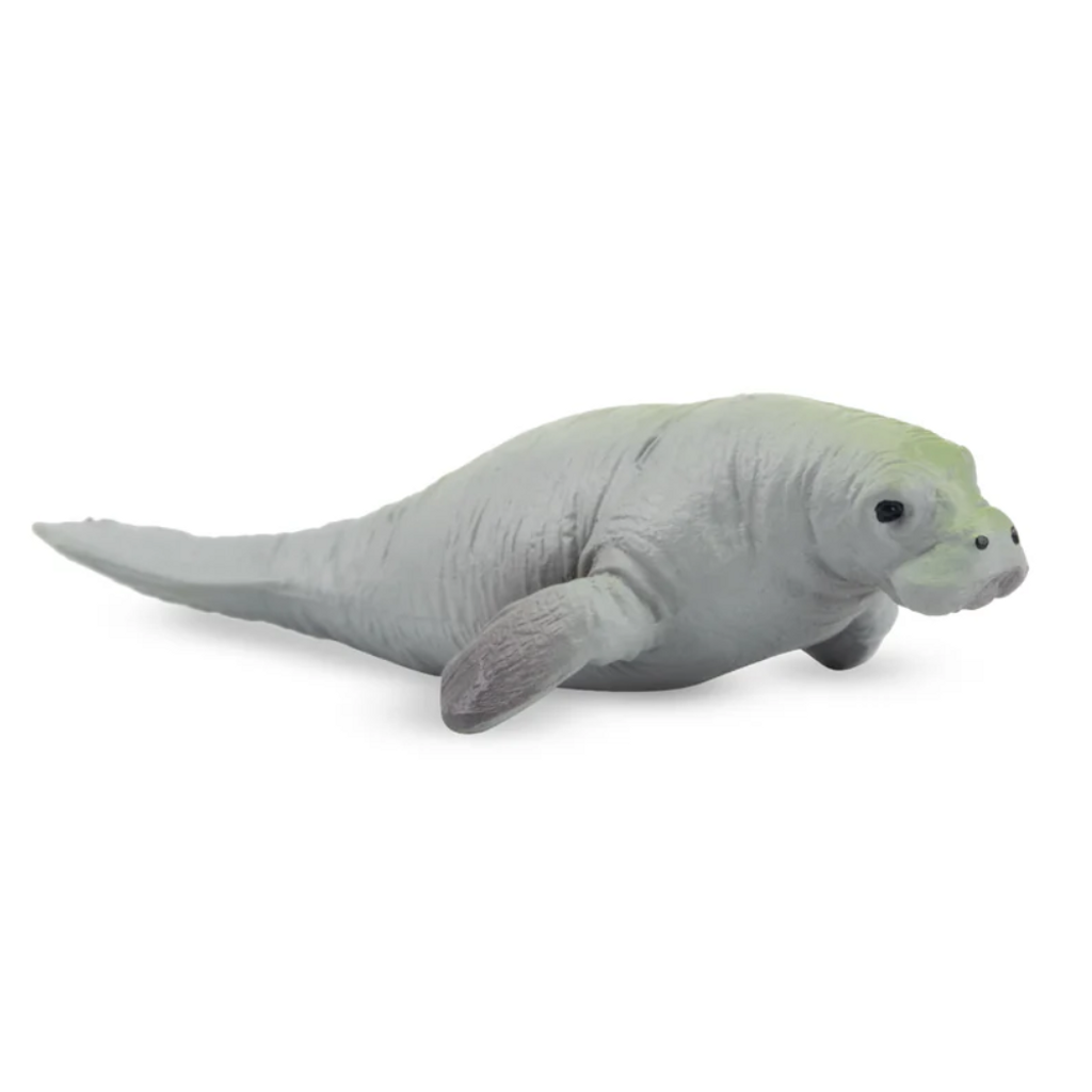 Toymany Manatee Small side view