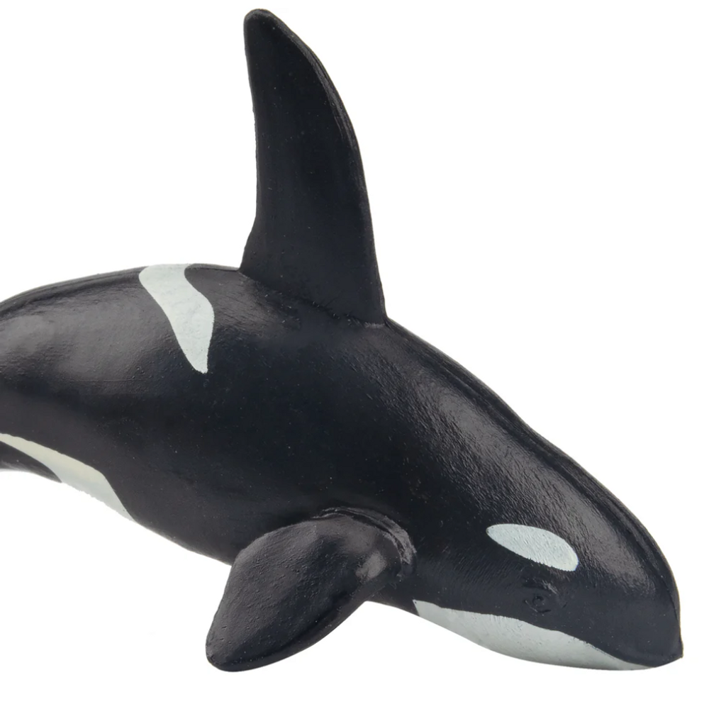 Toymany Killer Whale Small fin