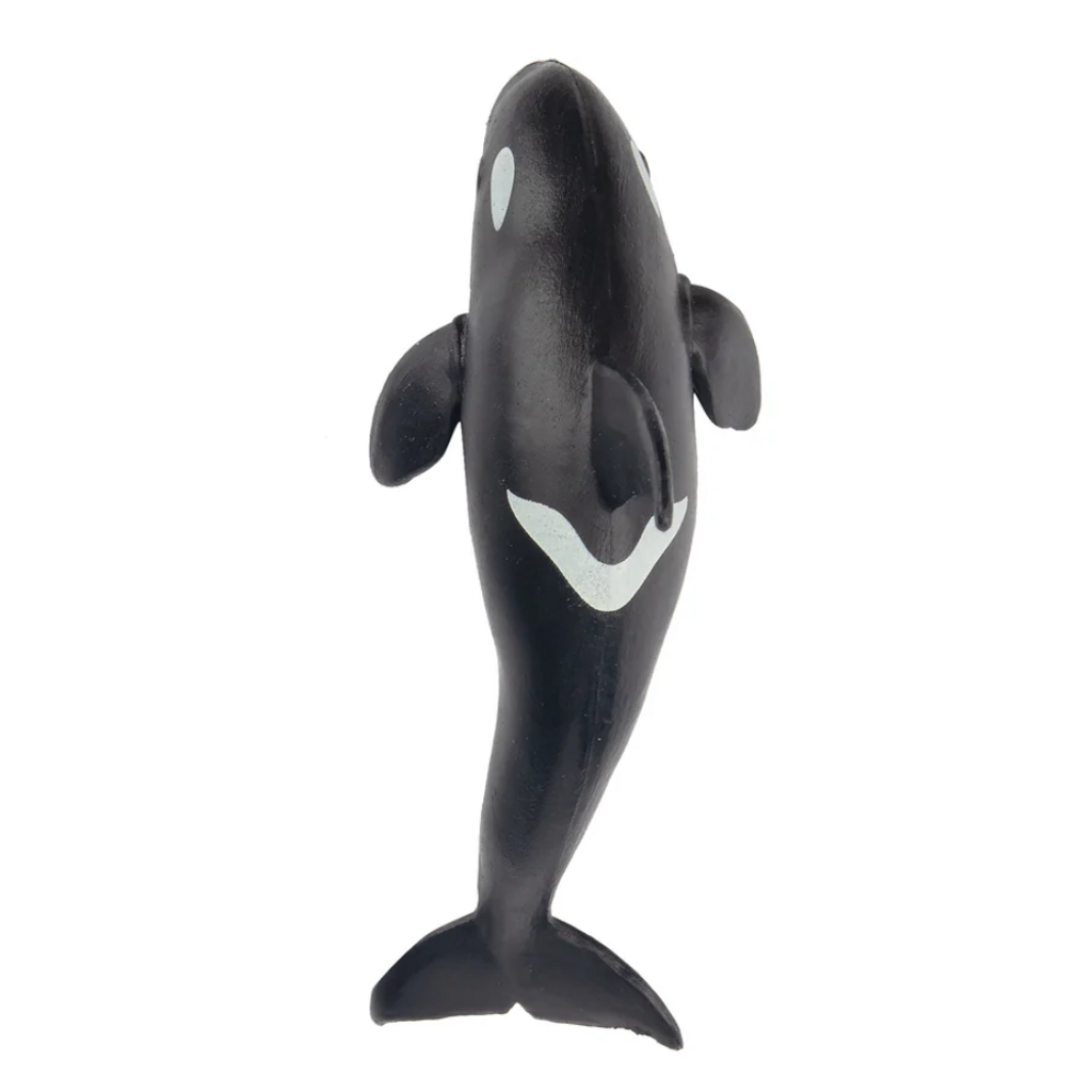 Toymany Killer Whale Small top view