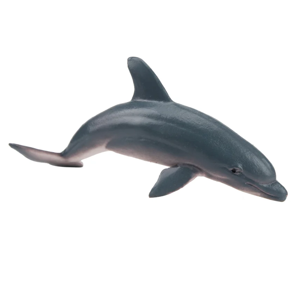 Toymany Dolphin Small