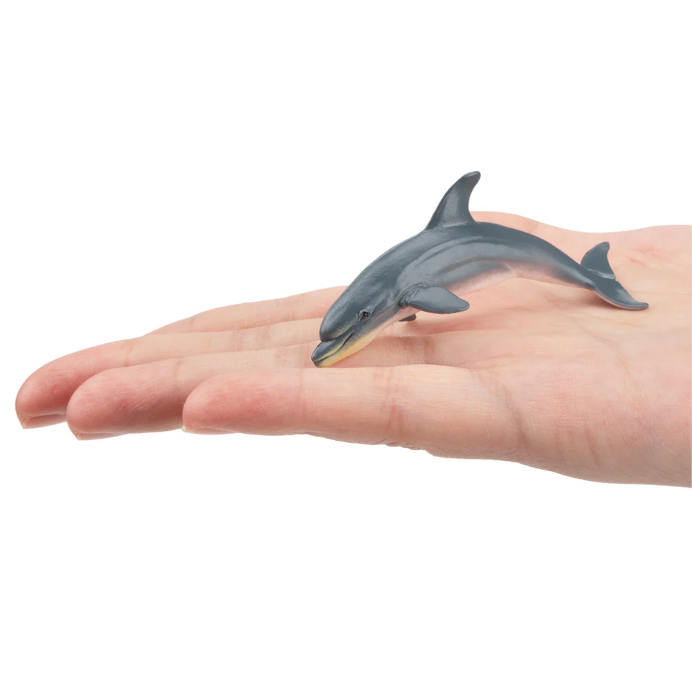 Toymany Dolphin Small size in hand