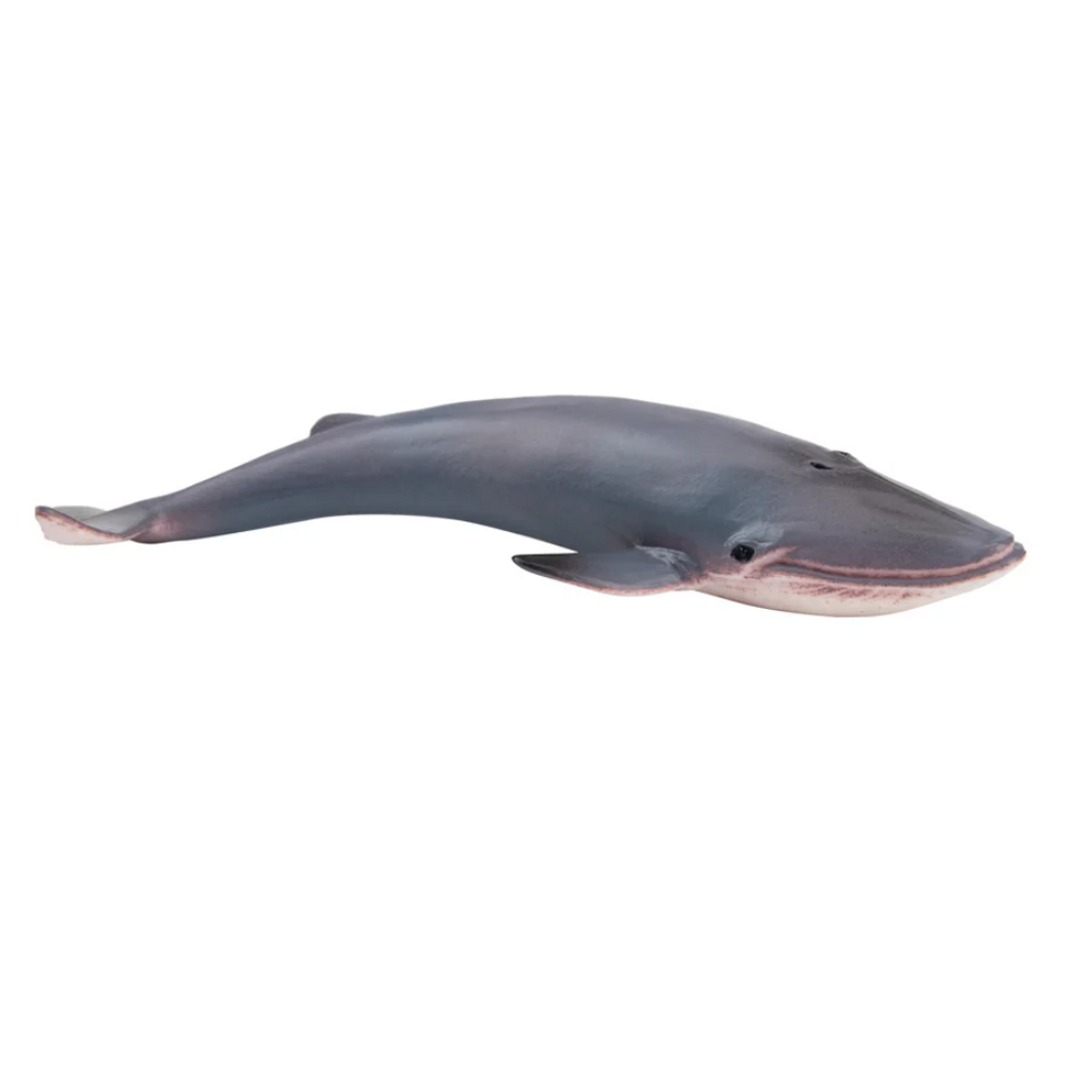 Toymany Blue Whale Small size toy figurine