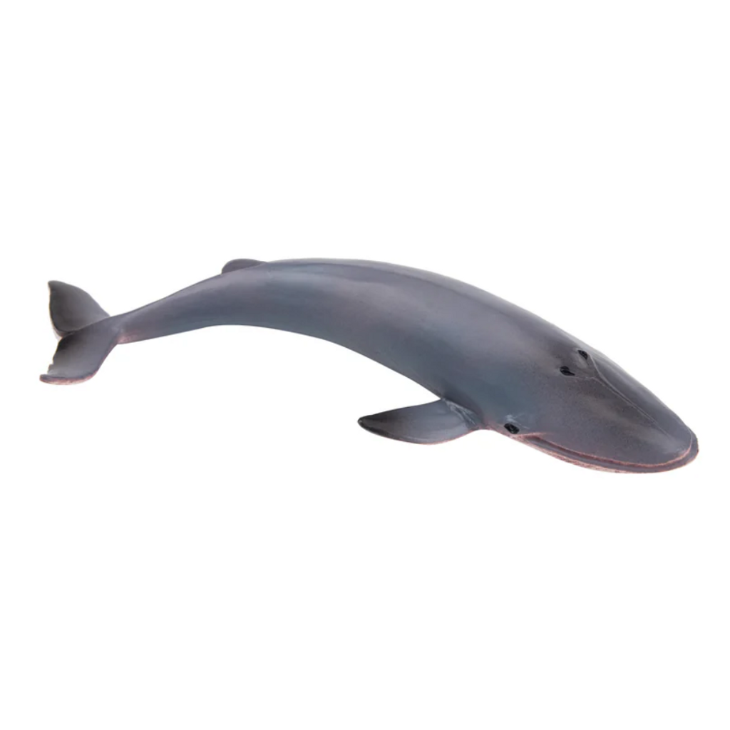 Toymany Blue Whale Small side view