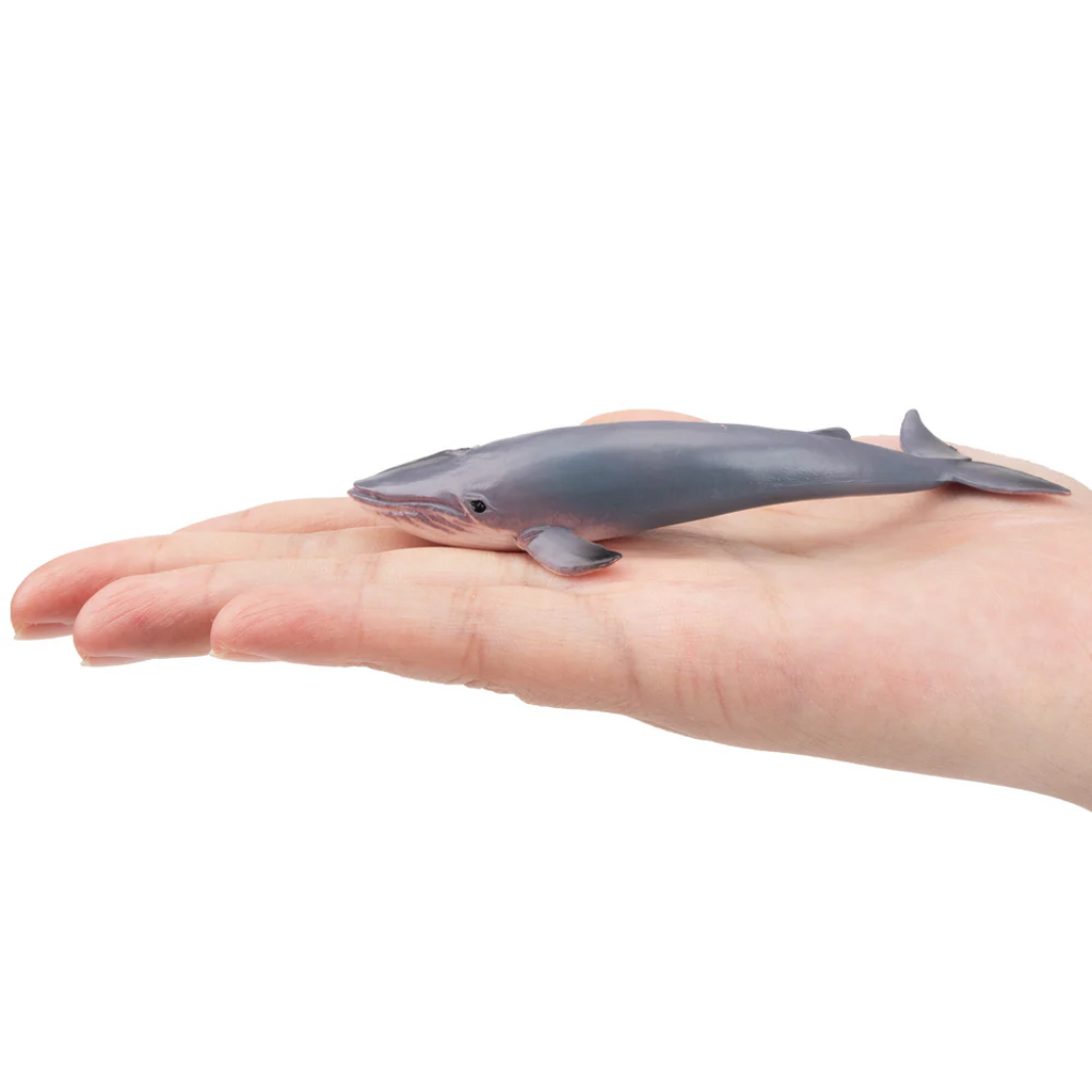 Toymany Blue Whale Small size in hand
