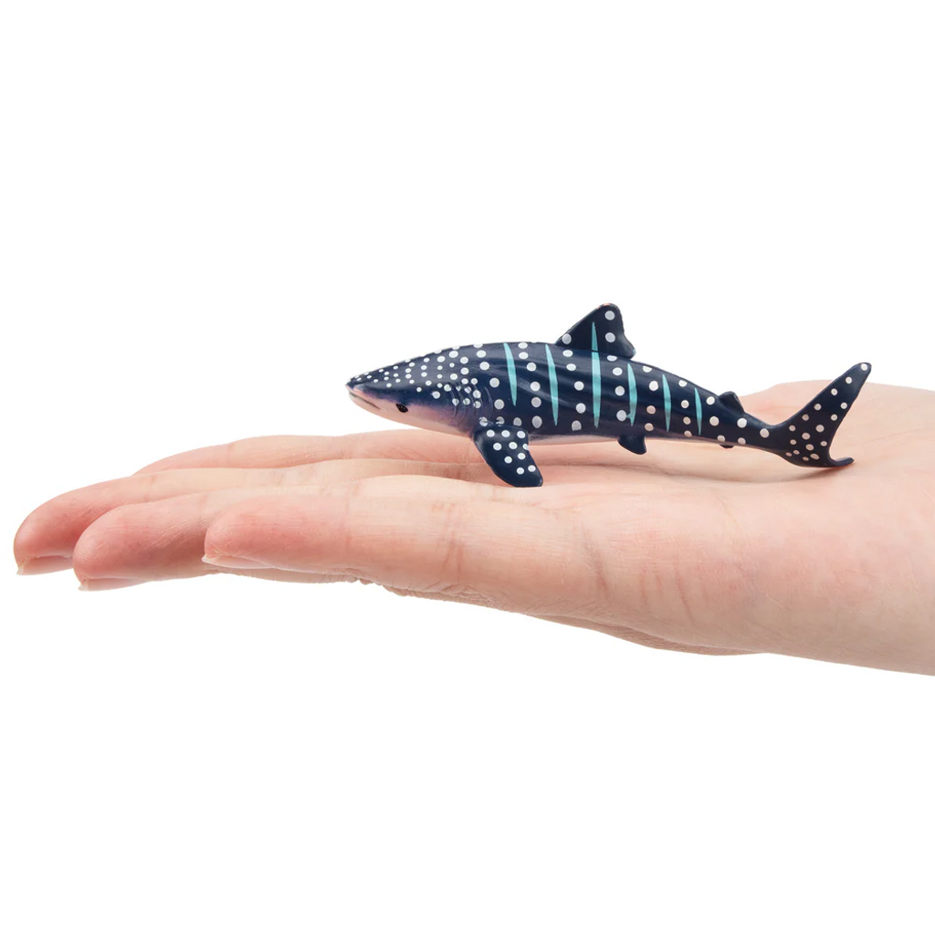 Toymany Whale Shark Small size in hand