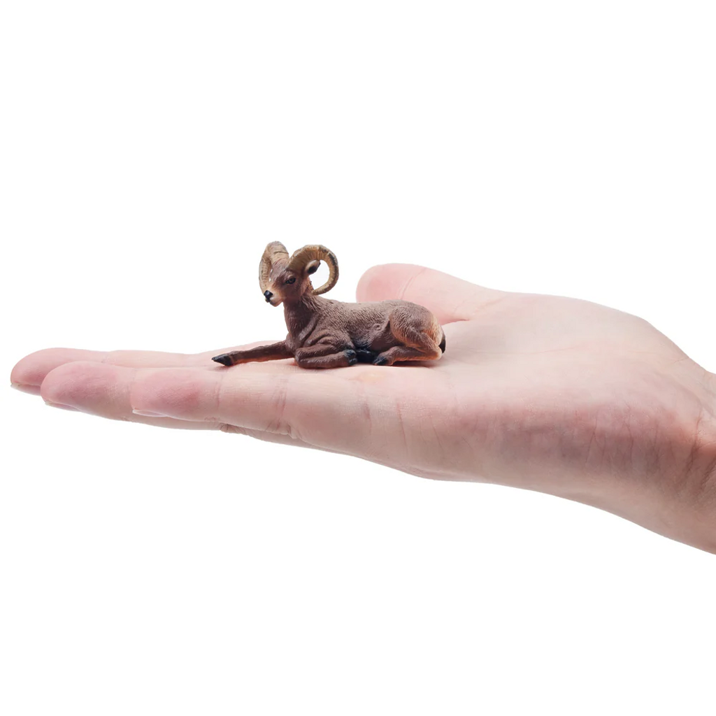 Toymany Bighorn Sheep Small size in hand