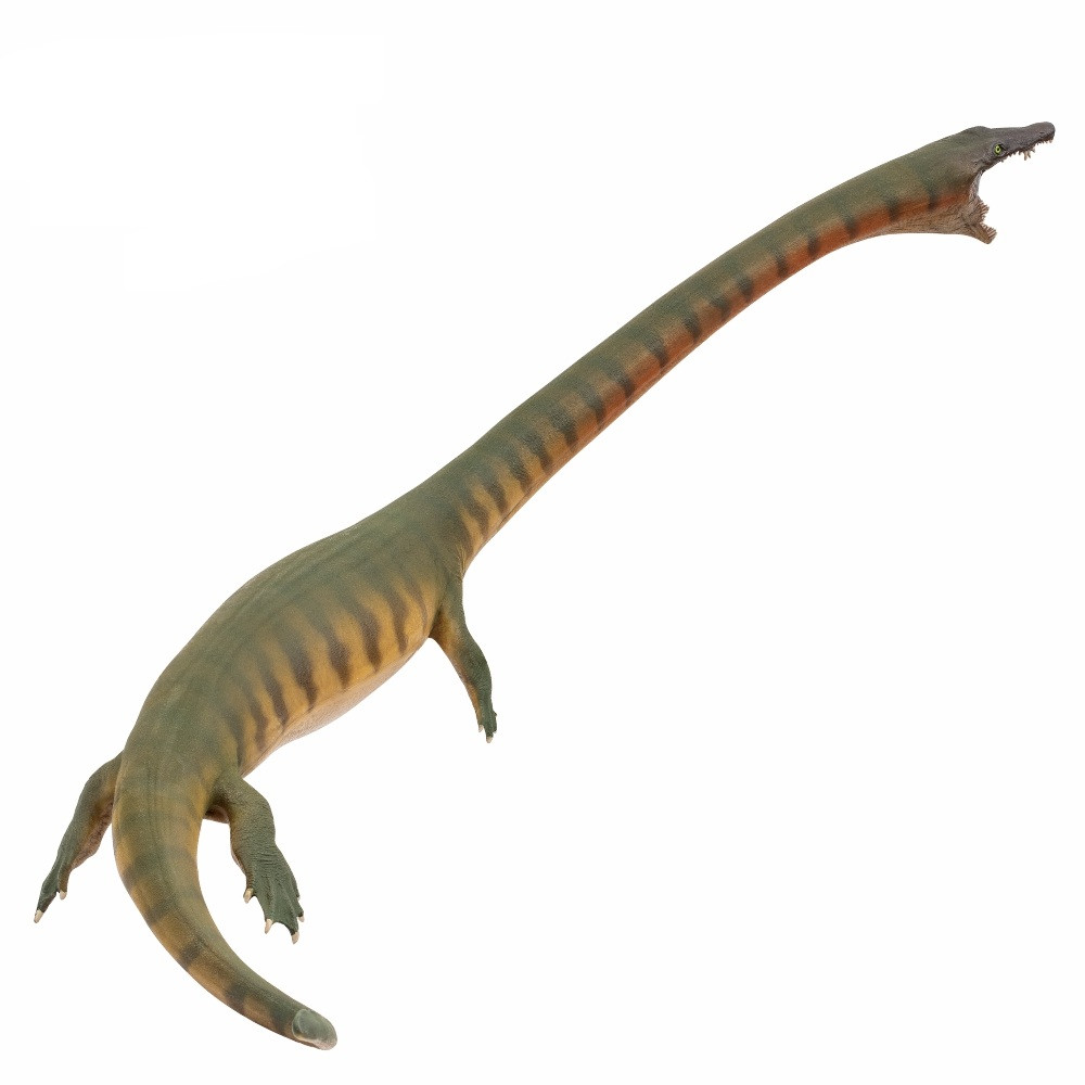 PNSO Xiaochong the Dinocephalosaurus model