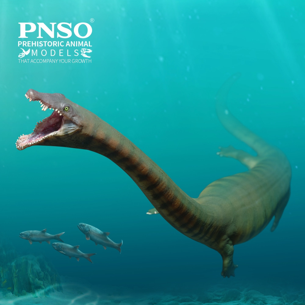 PNSO Xiaochong the Dinocephalosaurus lifestyle