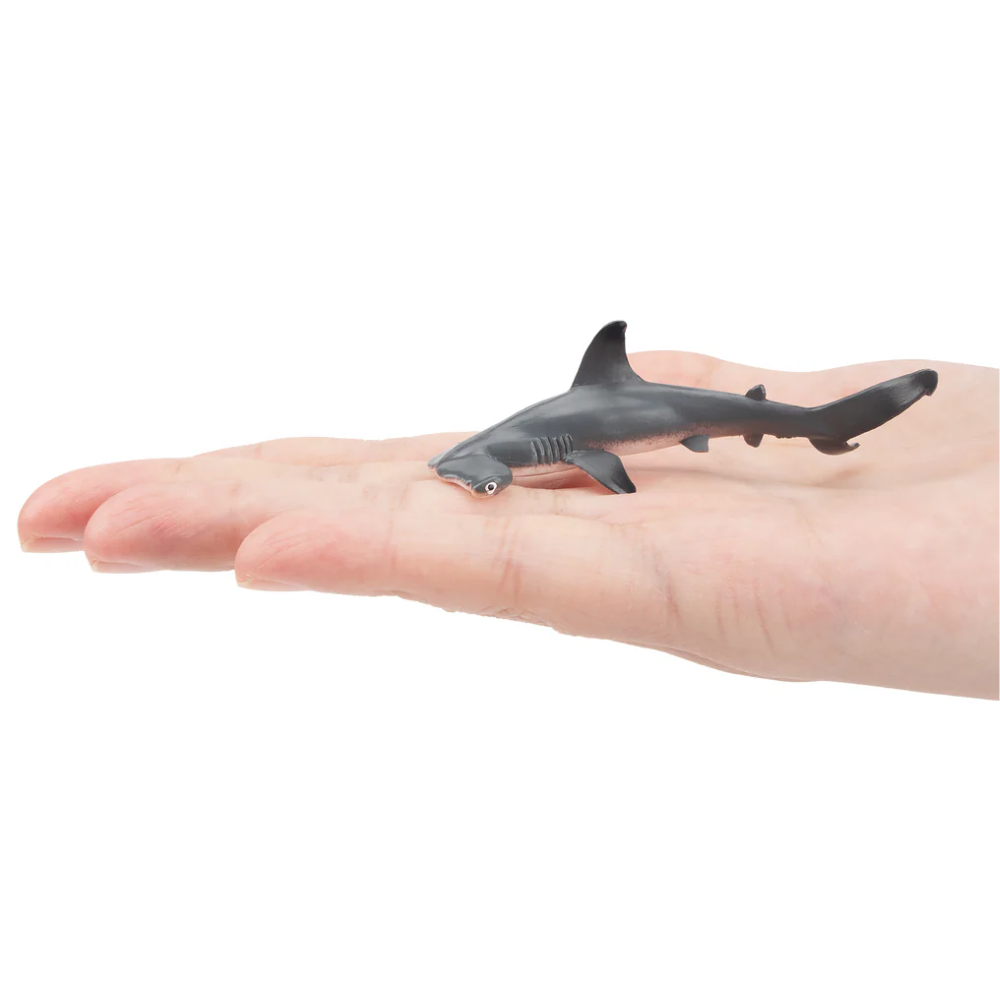 Toymany Scalloped Hammerhead Shark Small size in hand