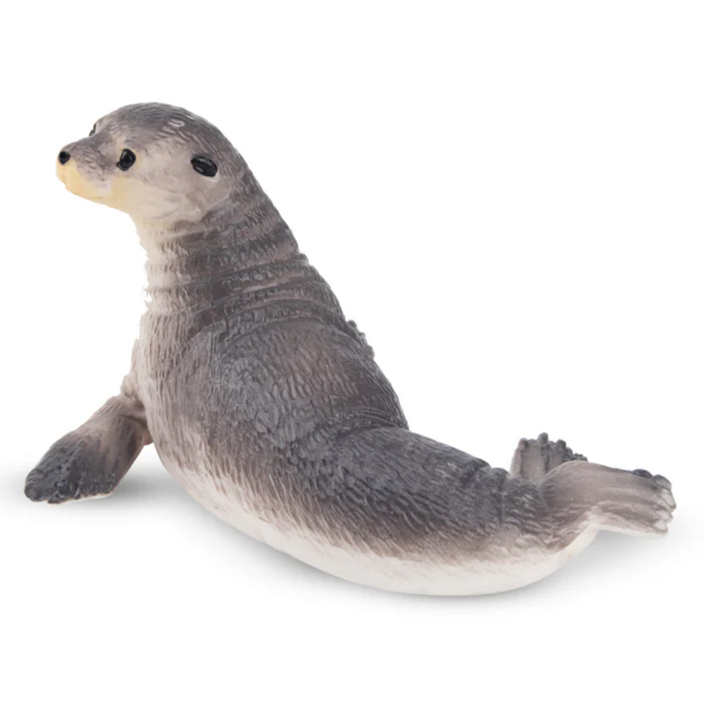 Toymany Seal Small back view