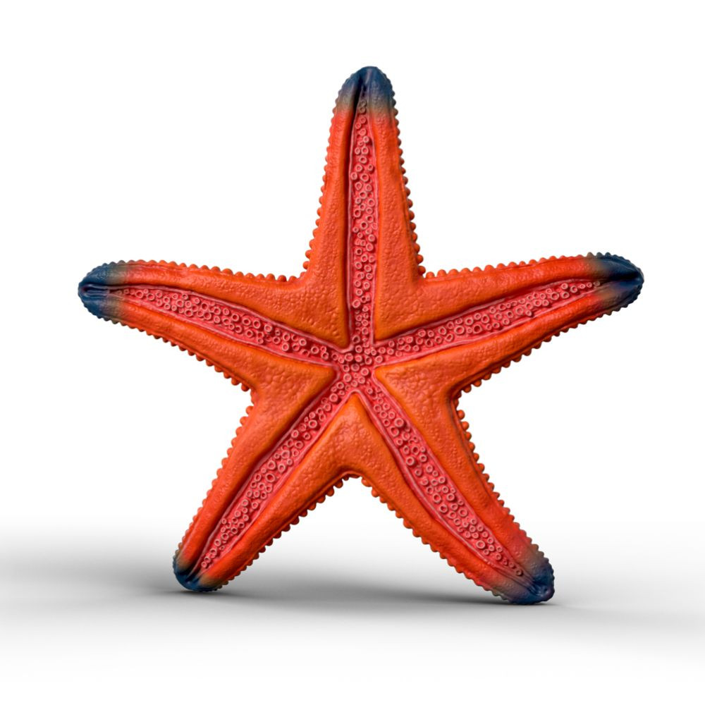 Schleich Starfish Colour Changing back view