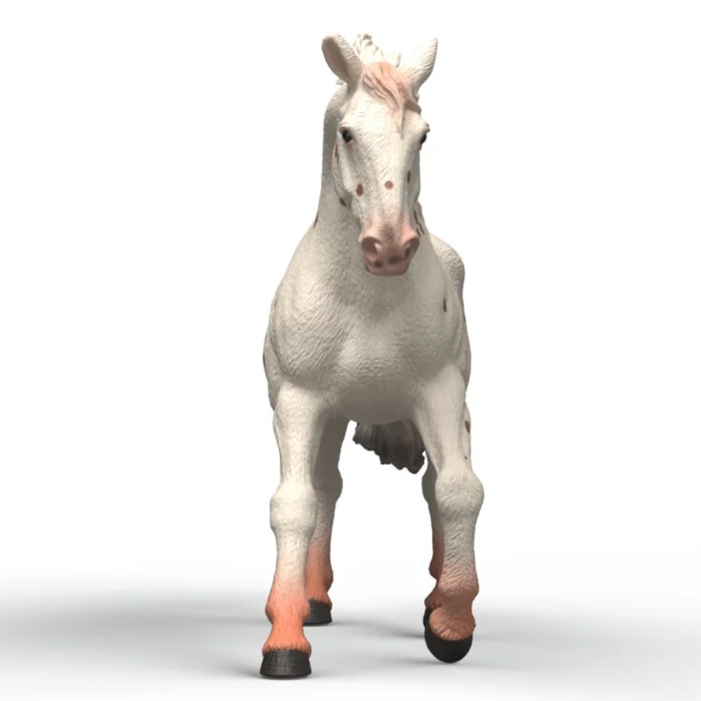 Schleich Knabstrupper Mare model horse 2026 front view