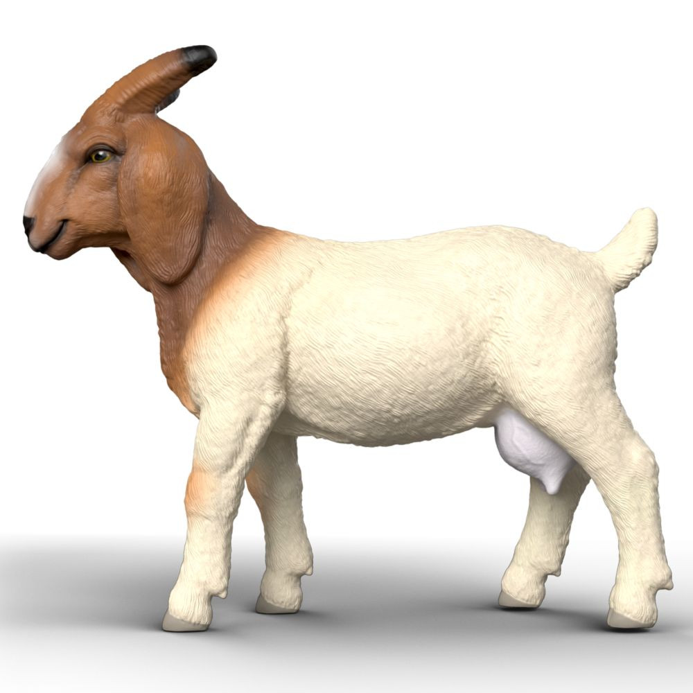 Schleich Boer Goat toy figurine side view