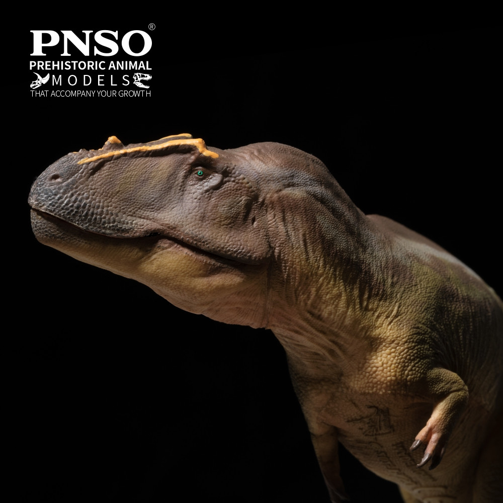 PNSO Mayer the Tameryraptor closeup face