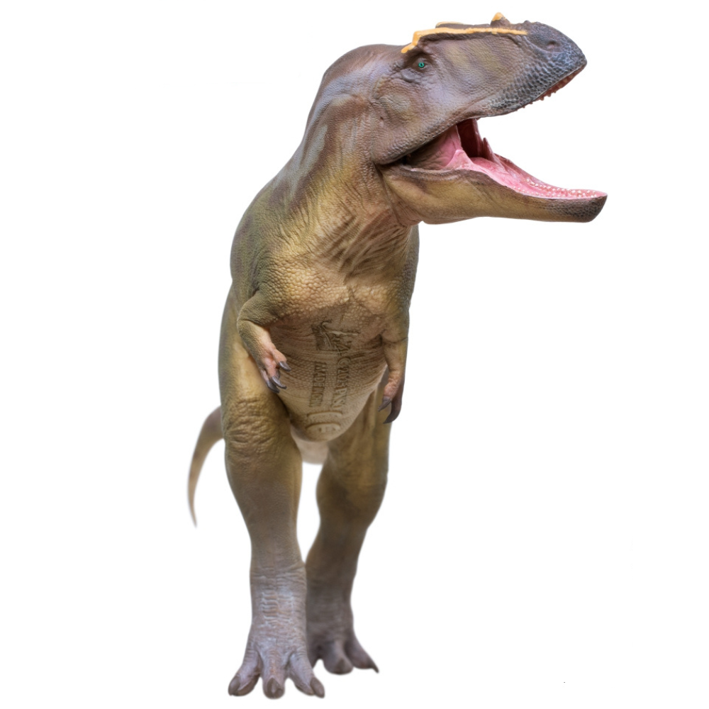 PNSO Mayer the Tameryraptor model dinosaur