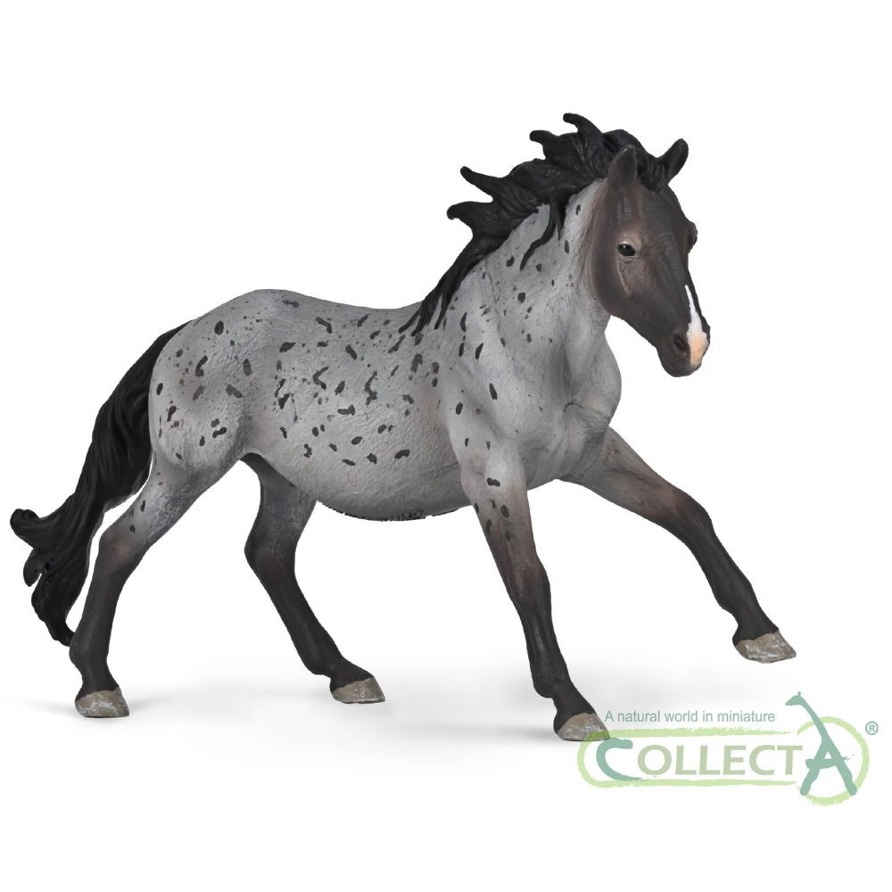 CollectA Nokota Stallion Blue Roan